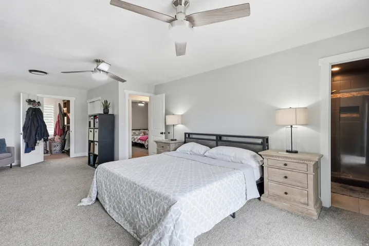 Carpeted flooring, two ceiling fans, built-in shelving, white paneled doors, and a shower enclosure with dark-toned tile