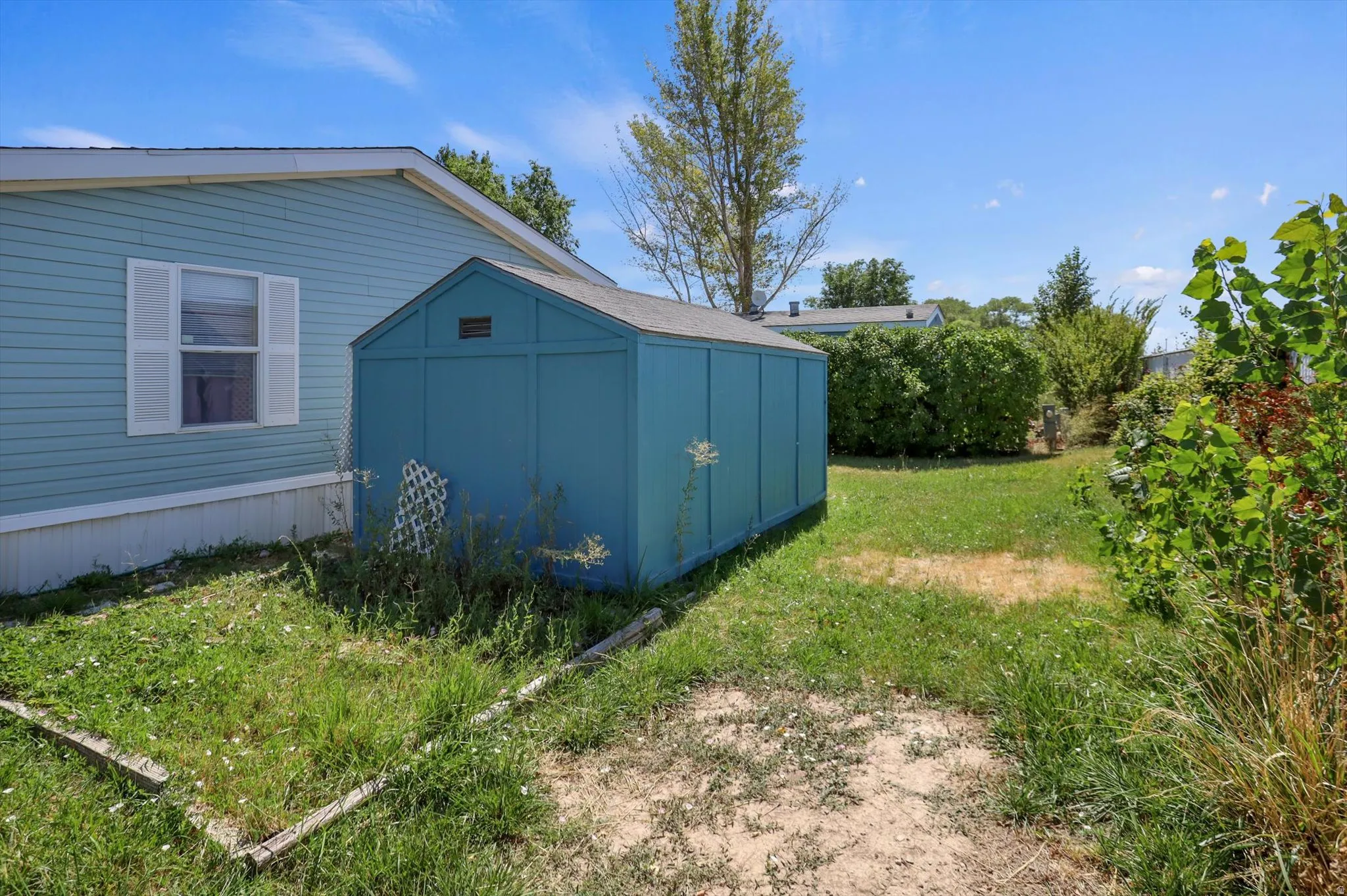 Spacious storage shed with board-and-batten siding in serene teal finish, situated on expansive grounds featuring mature landscaping, native shrubs, and lush green lawn