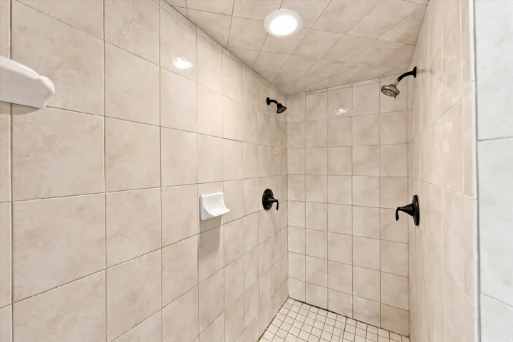 Primary bathroom shower