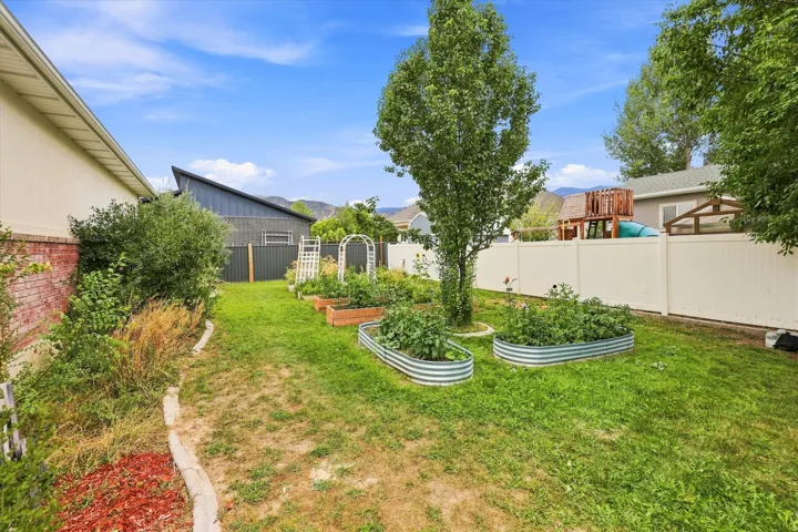 Expansive backyard featuring a mature tree, manicured lawn, and raised garden beds