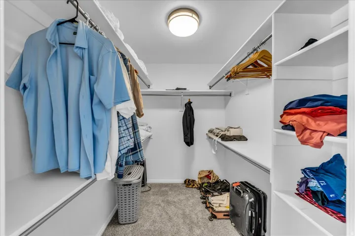 Walk-in closet with carpet flooring, flush mount lighting, built-in shelving, and hanging rods
