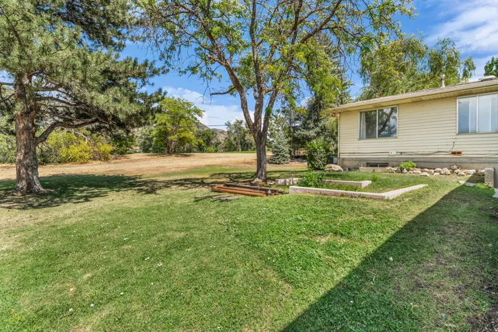 Expansive backyard featuring a manicured lawn, mature trees, and raised garden beds