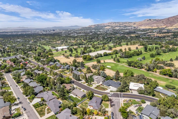 Aerial perspective showcasing this established residential community featuring mature landscaping, manicured lawns, tree-lined streets, and contemporary homes with dark rooflines
