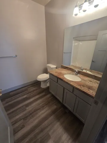 Vanity with integrated sink, wood-finish flooring, and a shower-tub combination