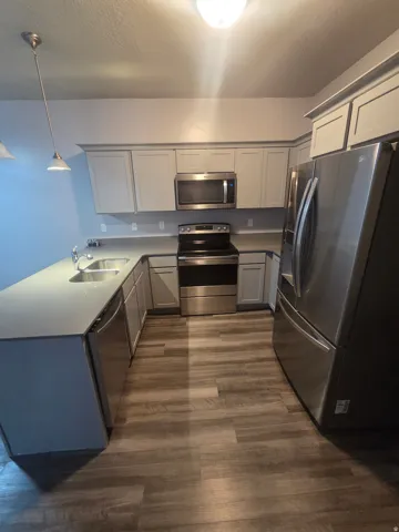 Kitchen featuring wood-finish flooring, stainless steel appliances, light-toned cabinetry, light countertops, and recessed lighting