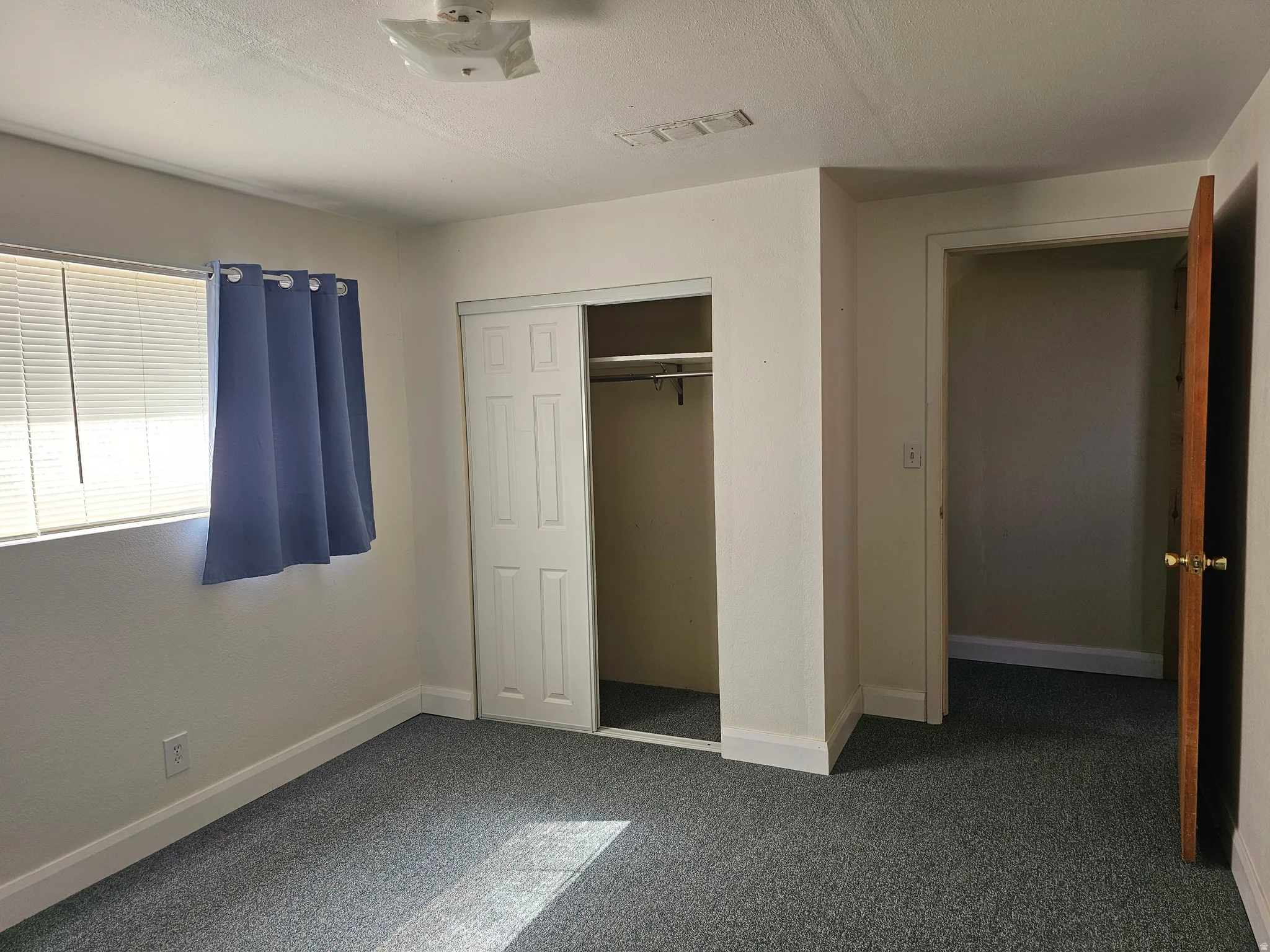 Room featuring carpet flooring, a window with blinds, a bi-fold closet, and a ceiling-mounted light fixture