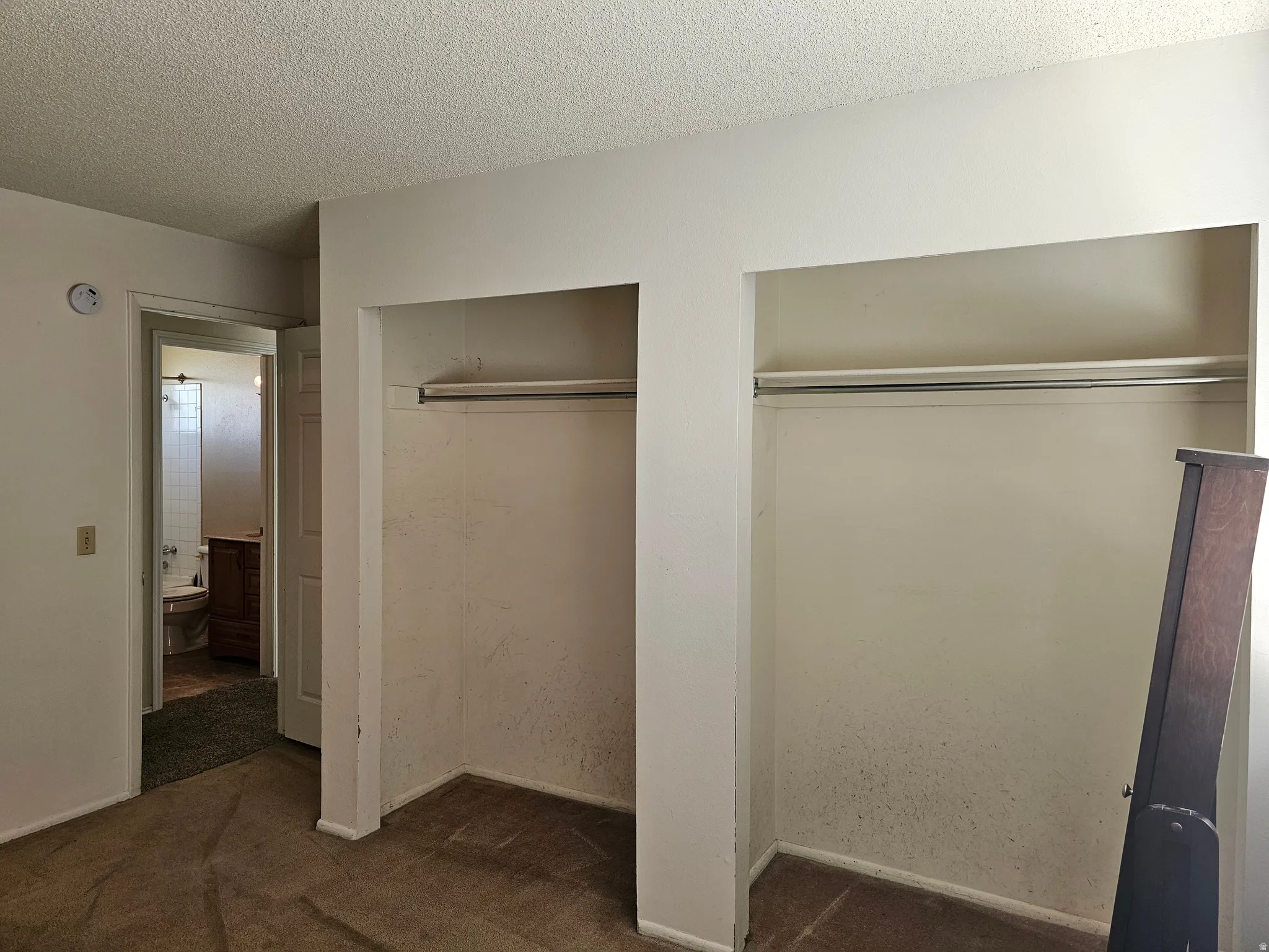 Dual open closets with garment rods, textured carpeting, and a neutral wall palette