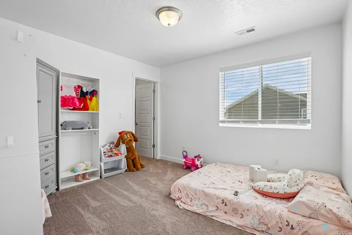 Built-in closet system with shelving and drawers, neutral carpeting, window with blinds, overhead flush mount lighting, and a paneled interior door
