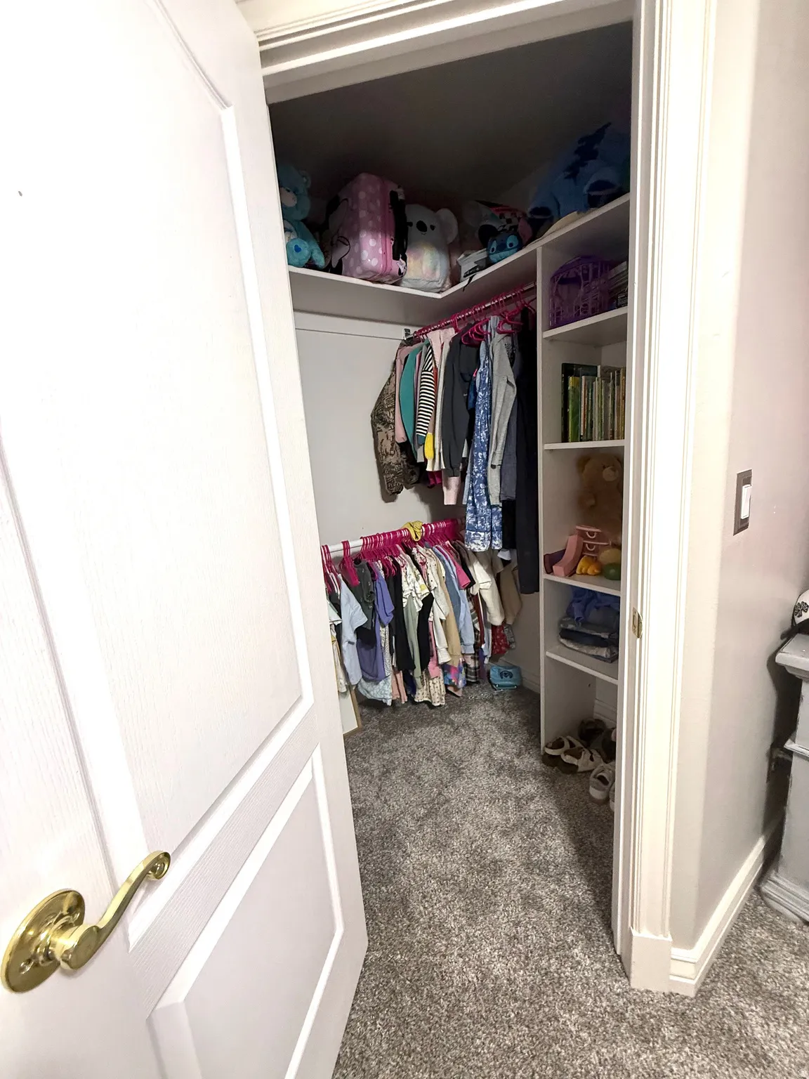 Walk-in closet with built-in shelving, hanging rods, and carpet flooring