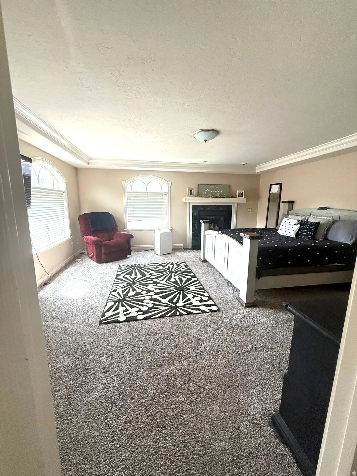 Spacious primary bedroom suite with tray ceiling, dual windows providing natural light, fireplace with white mantelpiece, neutral wall finishes, and carpeted flooring throughout