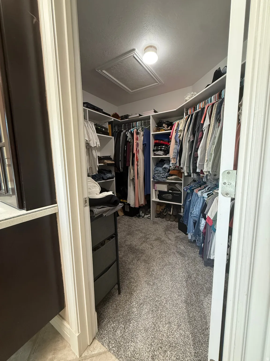 Walk-in closet with carpet flooring, built-in shelving, and hanging rods