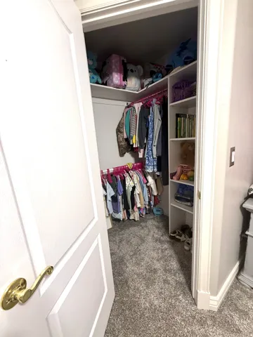 Walk-in closet with built-in shelving, hanging rods, and carpet flooring