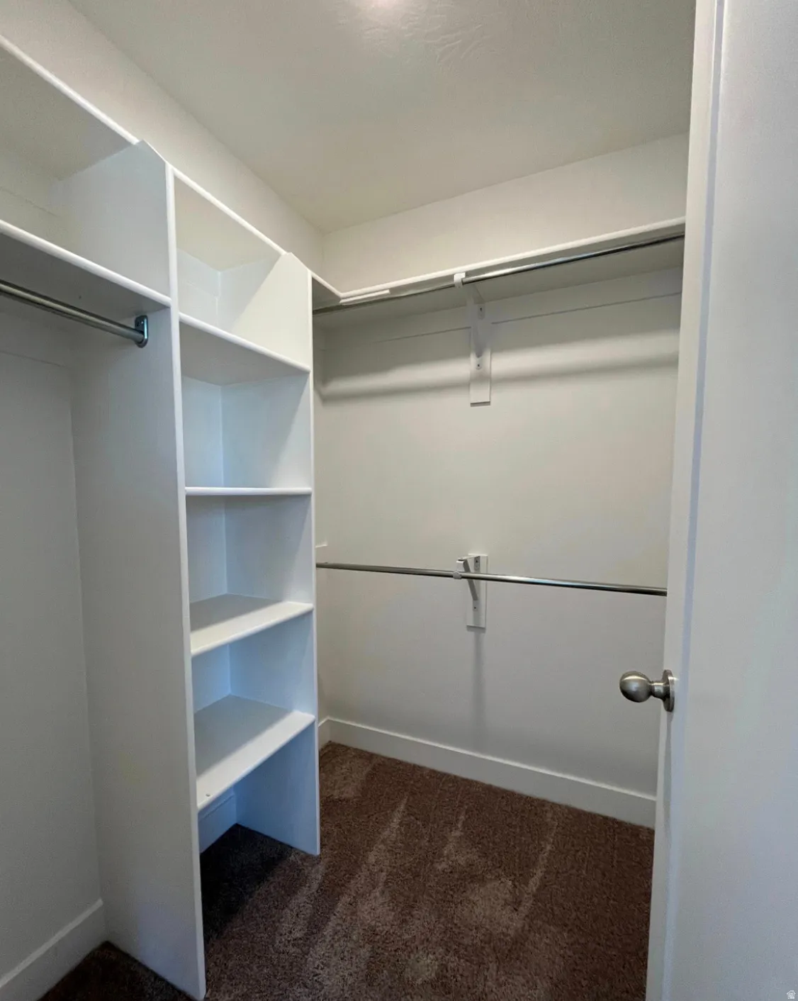 Walk-in closet featuring built-in shelving, dual hanging rods, and carpet flooring