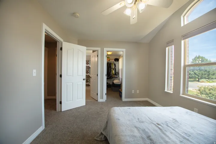 Vaulted ceiling with a ceiling fan, carpeted flooring, large window with upper arched transom, and white paneled doors