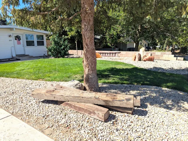 Front Yard with Mature Trees