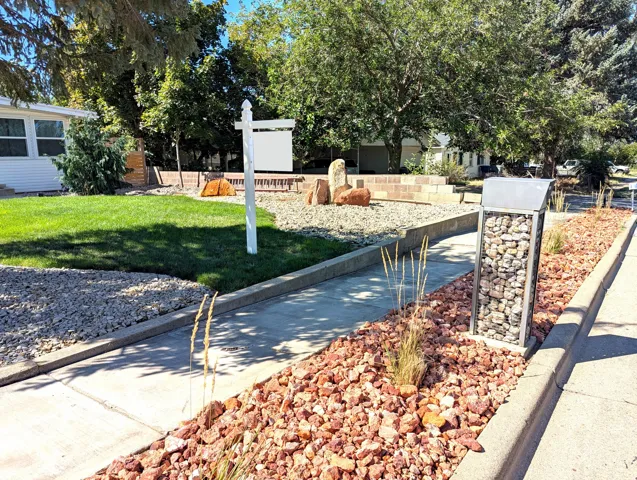 Front Yard