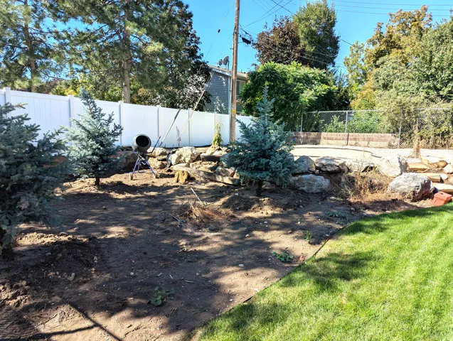 Backyard Landscaping