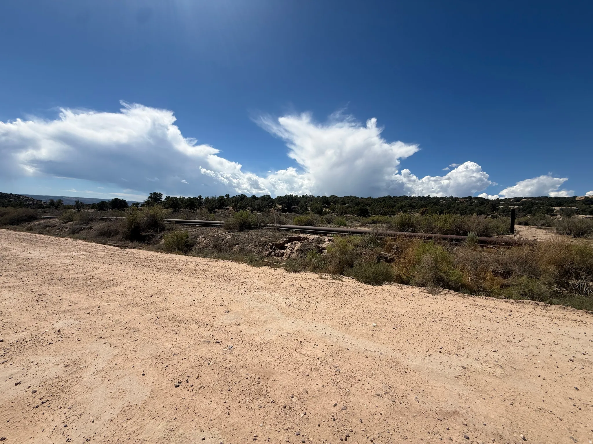 Expansive open terrain with natural vegetation and a distant tree line