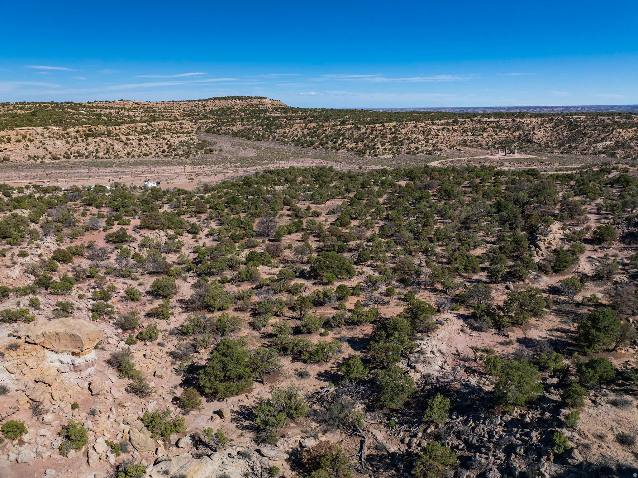 Expansive undeveloped terrain featuring diverse desert flora and natural rock formations