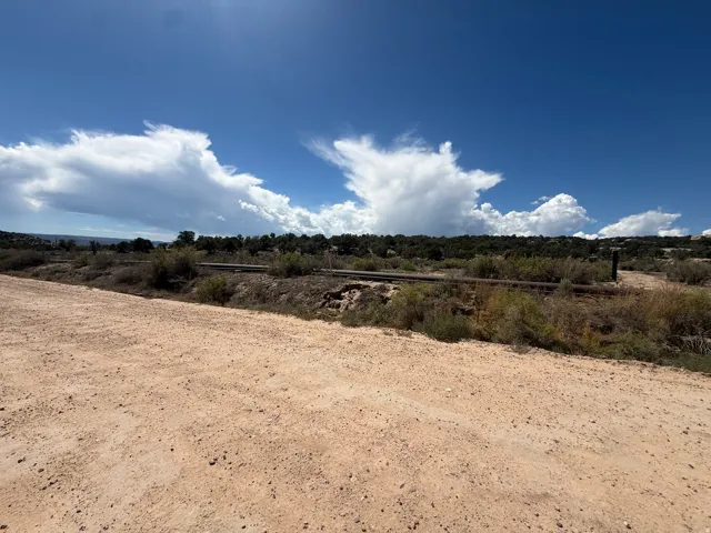 Expansive open terrain with natural vegetation and a distant tree line