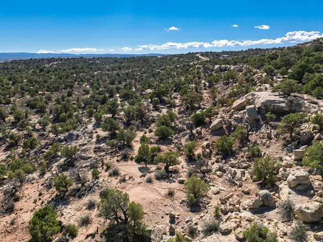 Expansive desert landscape featuring natural rock formations and abundant native vegetation