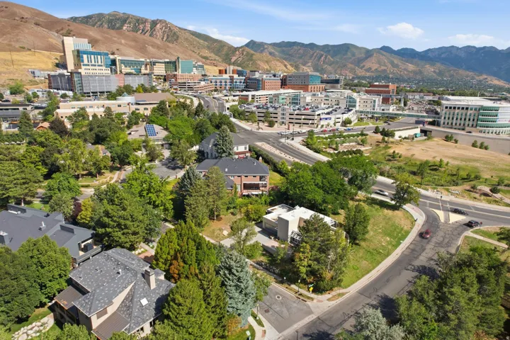 Mountain backdrop, urban structures, mature trees, residential properties, paved roads