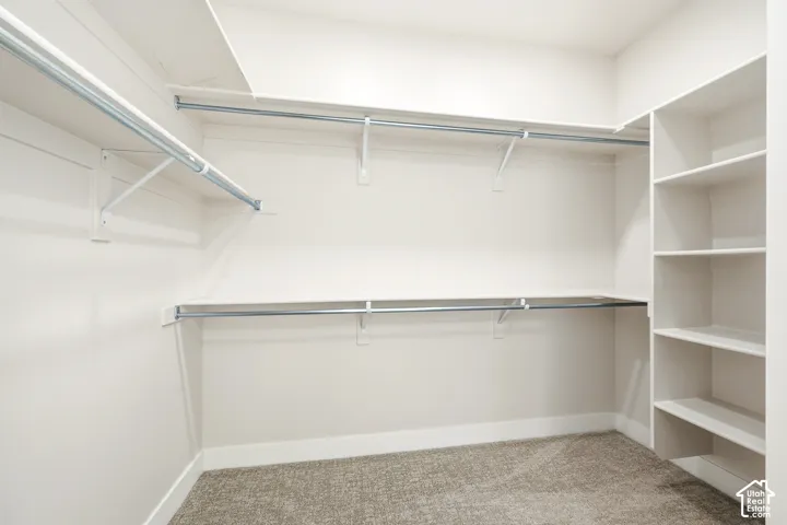 Walk-in closet featuring built-in shelving, multiple hanging rods, and neutral-toned carpeting