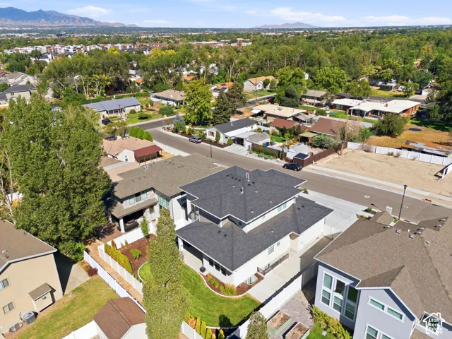 Aerial perspective showcasing a residential neighborhood with varied architectural styles and mature trees