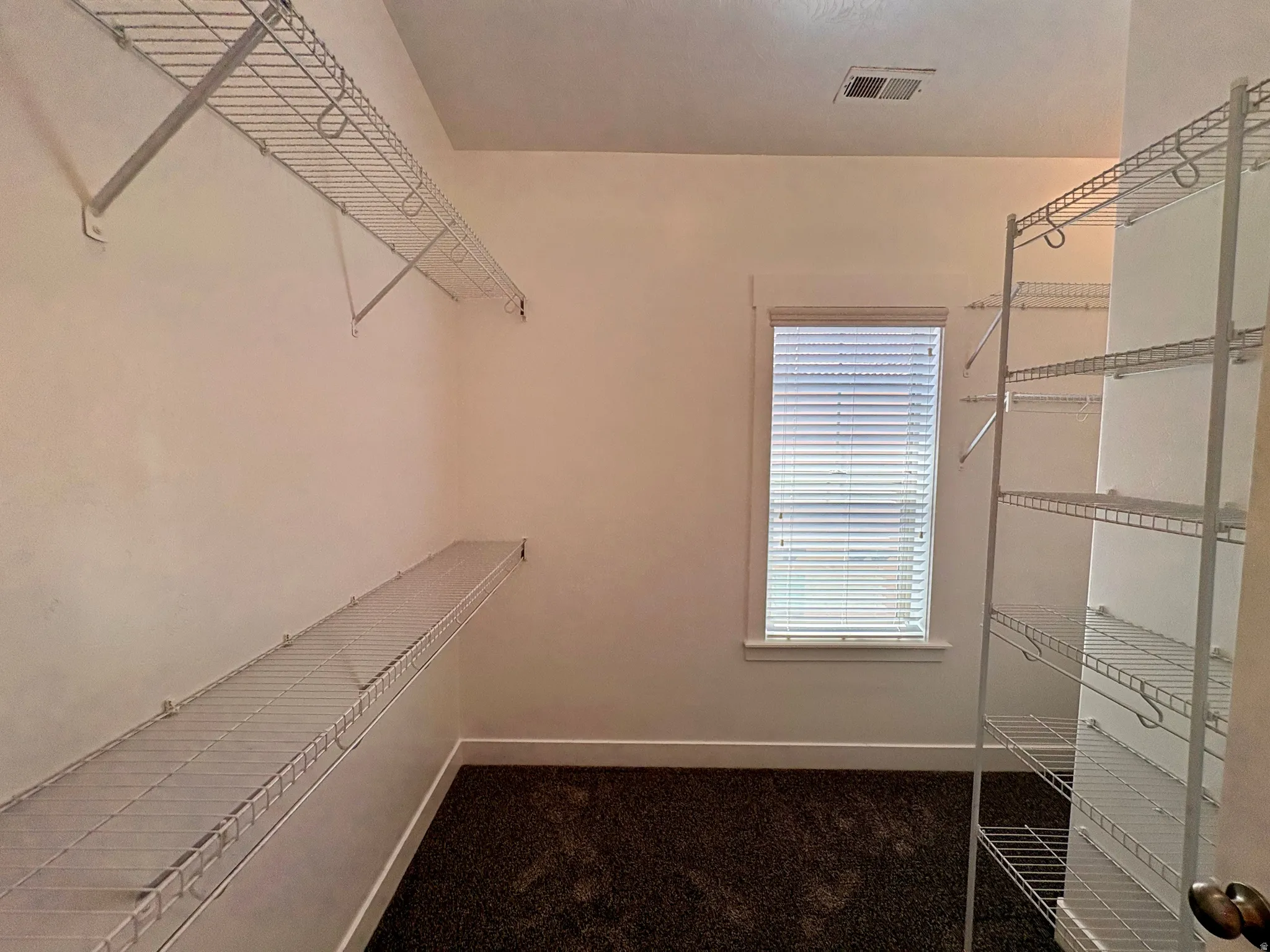 Walk-in closet with carpet flooring, window with blinds, and white wire shelving