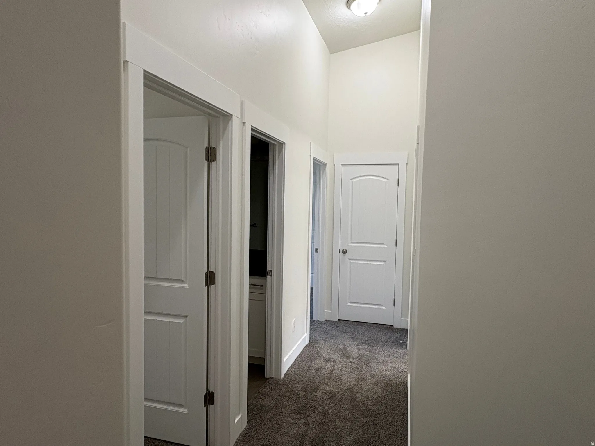 Hallway with neutral wall finishes and a flush mount ceiling light