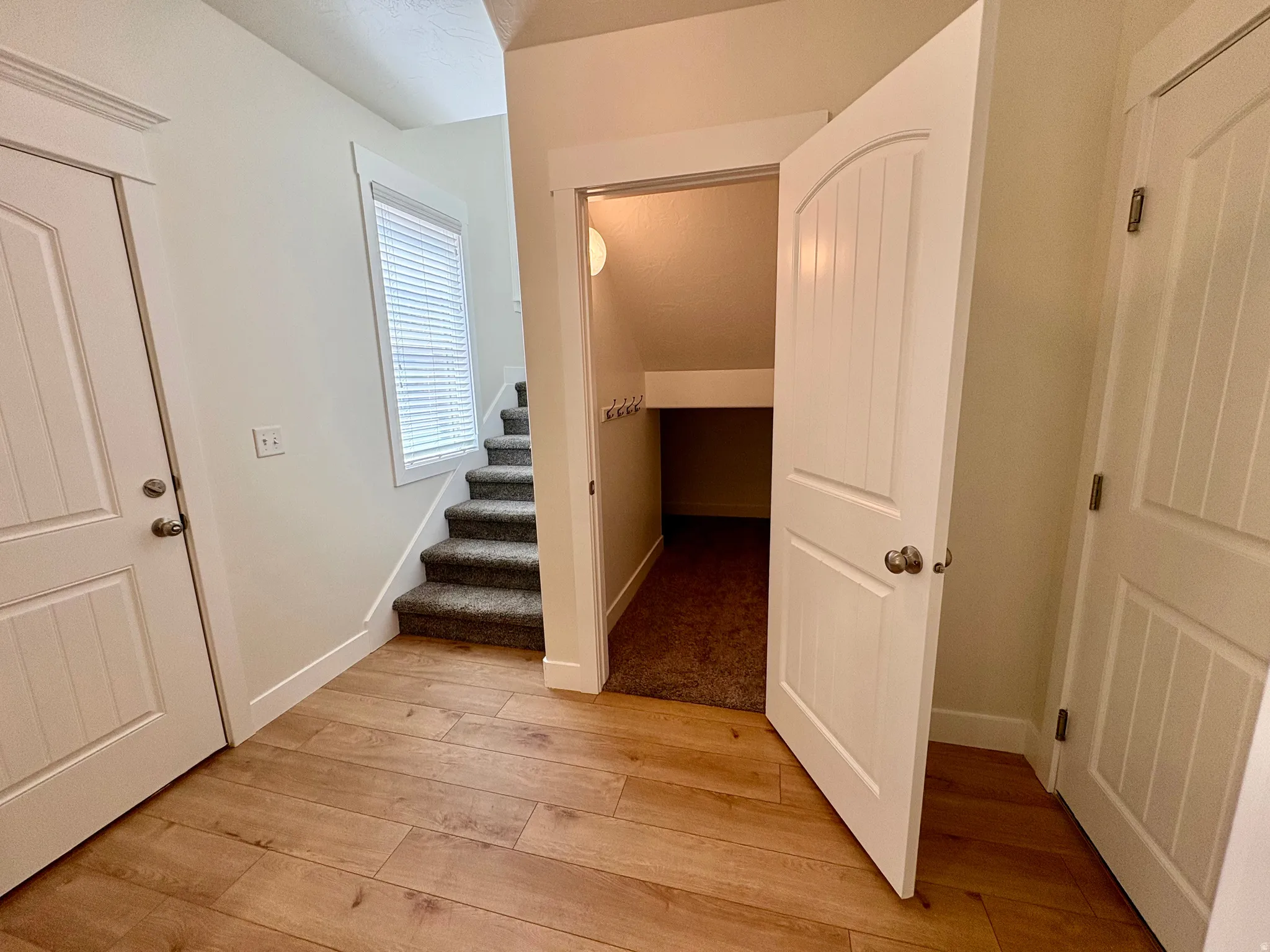 Wood-finish flooring, staircase with carpeted treads, arched paneled door, and a built-in under-stair storage area