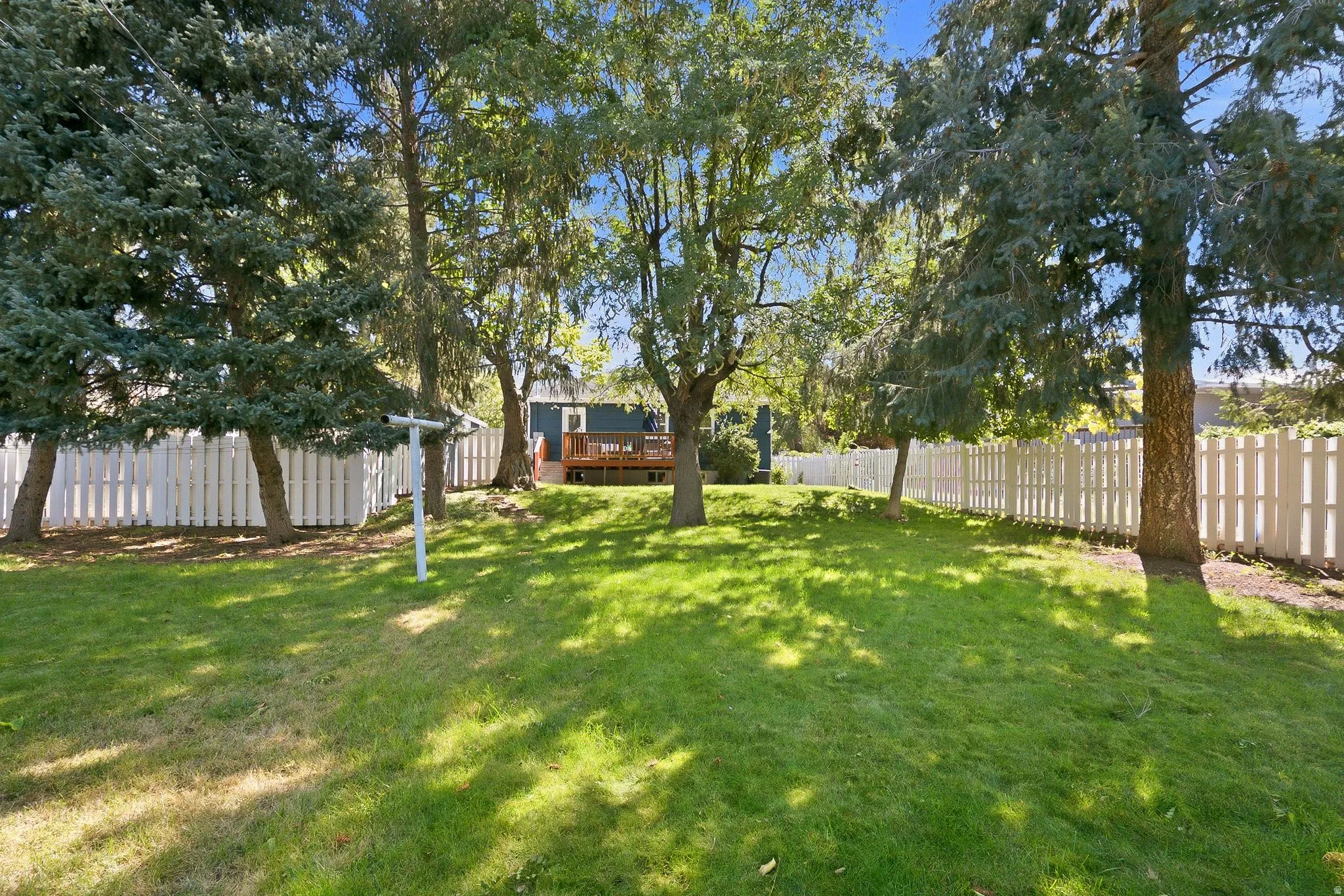 Expansive backyard featuring mature shade trees, manicured lawn, and white picket fencing along the perimeter