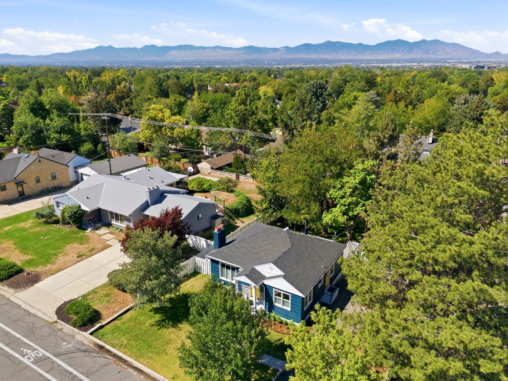 Charming residence nestled on a tree-lined lot with mature landscaping and expansive grounds