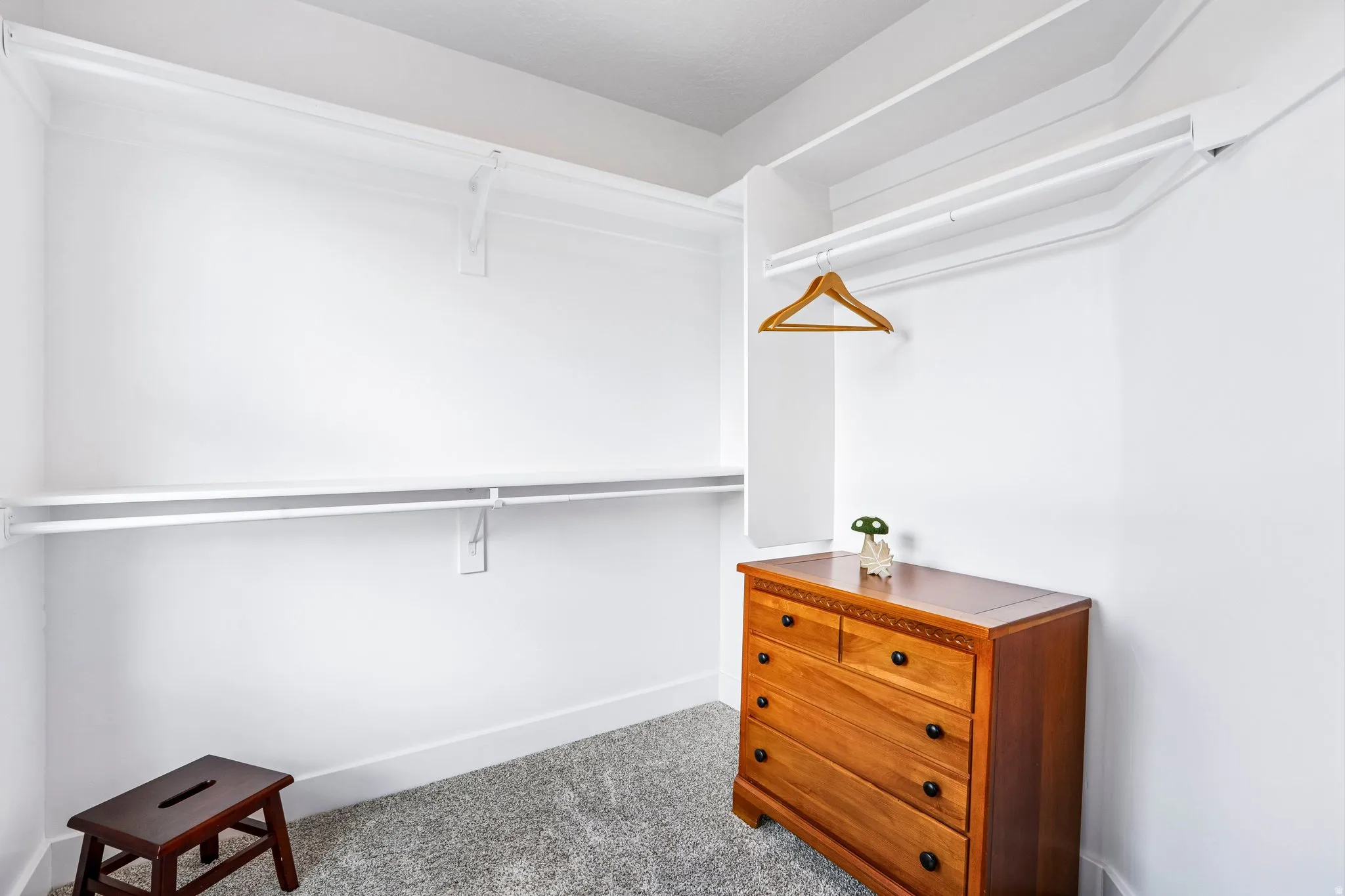 Spacious walk-in closet featuring dual clothing rods, abundant shelving, carpeted flooring, and natural lighting from transom windows