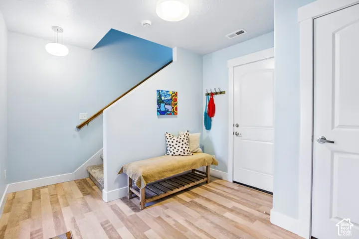 Wood-finish flooring throughout, a carpeted staircase with a wood handrail, and white paneled doors