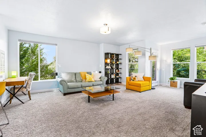 Expansive carpeting, multiple large windows, a built-in bookshelf, and a glass-top coffee table