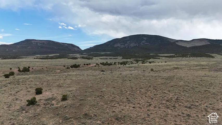 Expansive open terrain featuring natural vegetation and distant mountains
