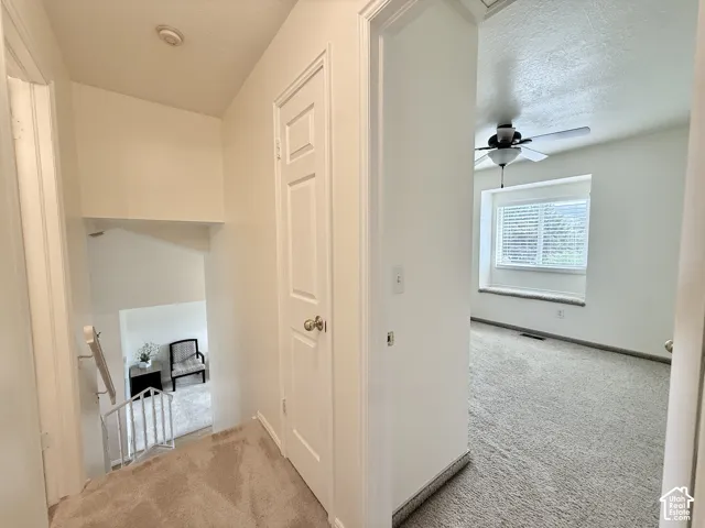 Carpeted hallway with painted walls, leading to a room with a ceiling fan and window with blinds