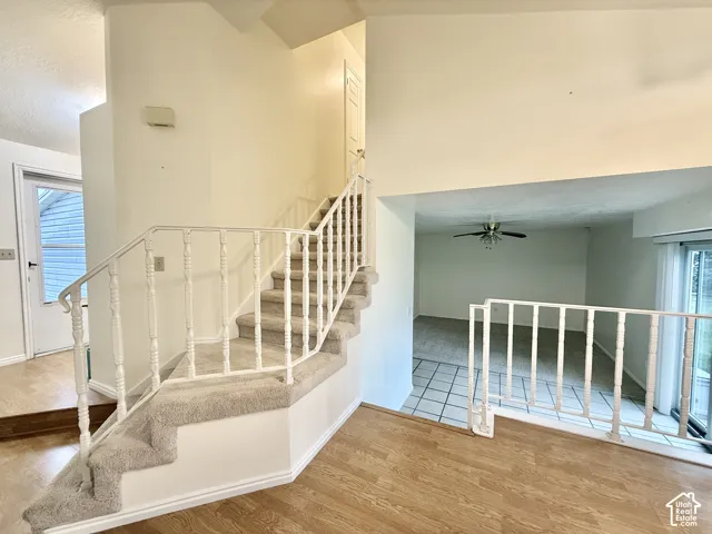 Staircase featuring carpeted treads and white spindle railings