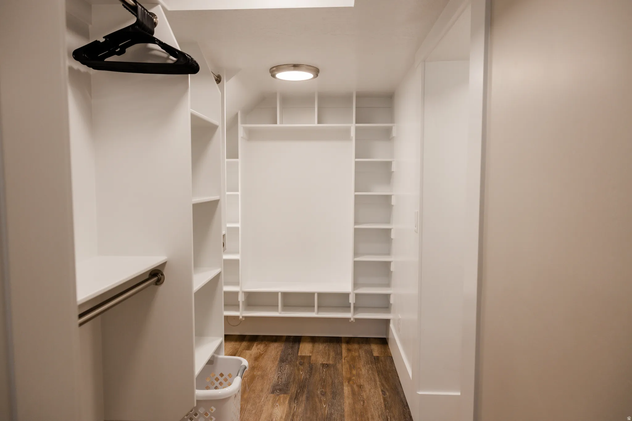 Basement bedroom walk in closet