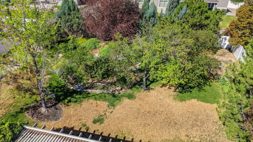 Expansive property featuring mature trees, diverse plantings, and a stone retaining wall