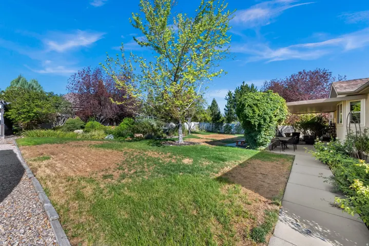 Expansive backyard with a covered patio, concrete pathway, and established greenery