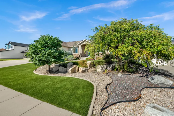 Manicured lawn with mature trees and a decorative rock garden
