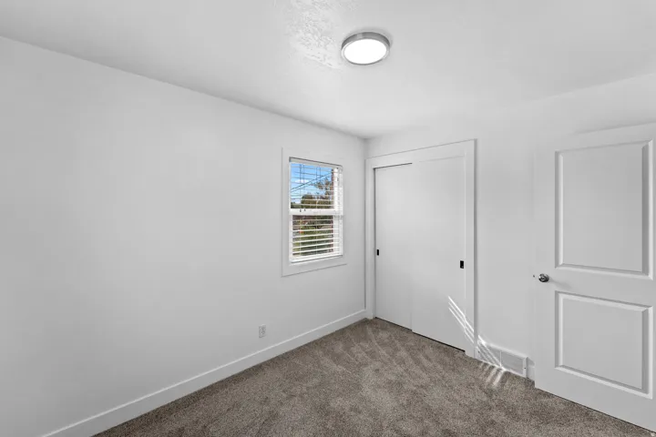 Neutral wall paint, plush carpeting, a single window with blinds, a flush-mount ceiling light, and a two-panel interior door