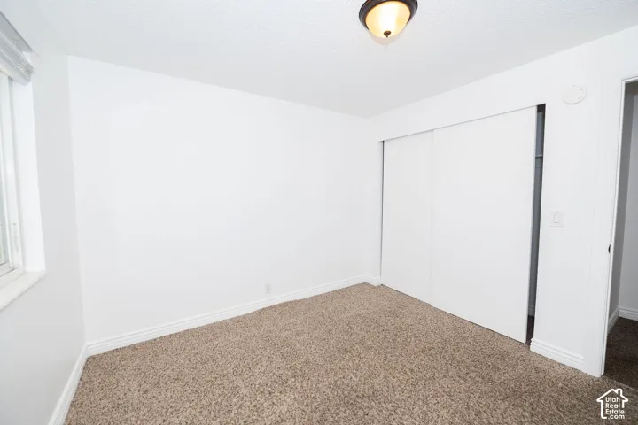Wall-to-wall carpeting, window with blinds, bi-fold closet doors, and overhead light fixture
