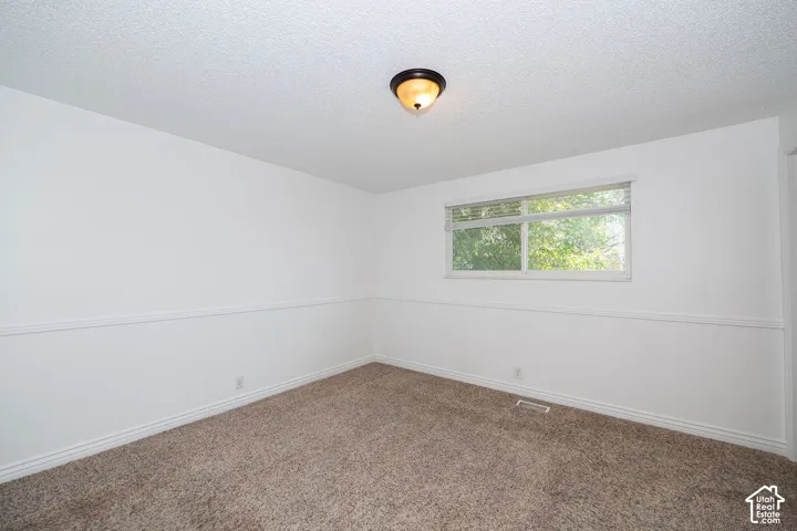 Wall-to-wall carpeting, white painted walls, and a single window with blinds