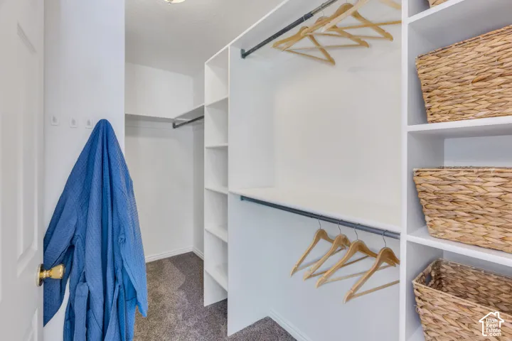 Walk-in closet featuring white built-in shelving, multiple hanging rods, and textured carpeting