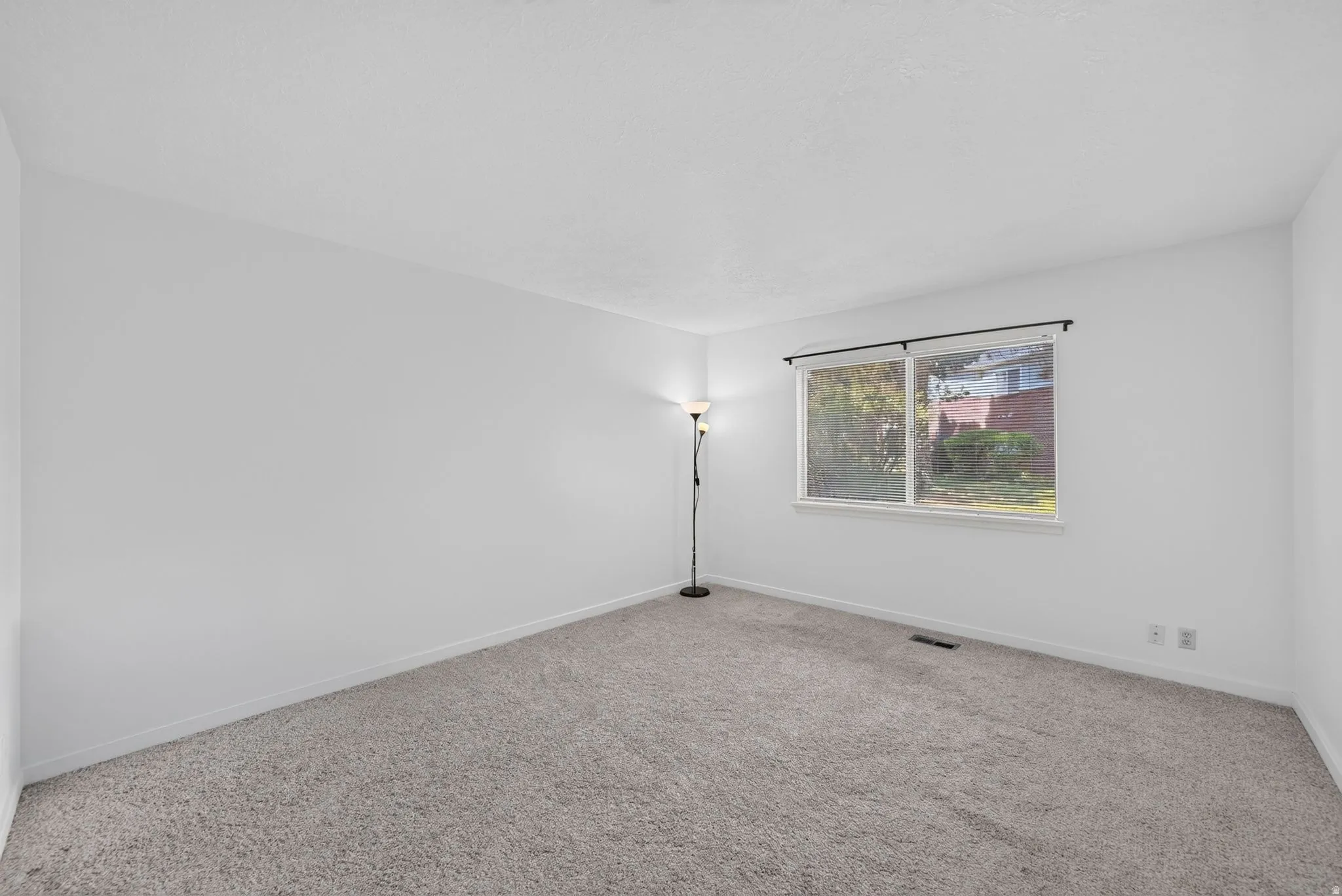 Plush gray carpet, white painted walls, and a large window with a black curtain rod