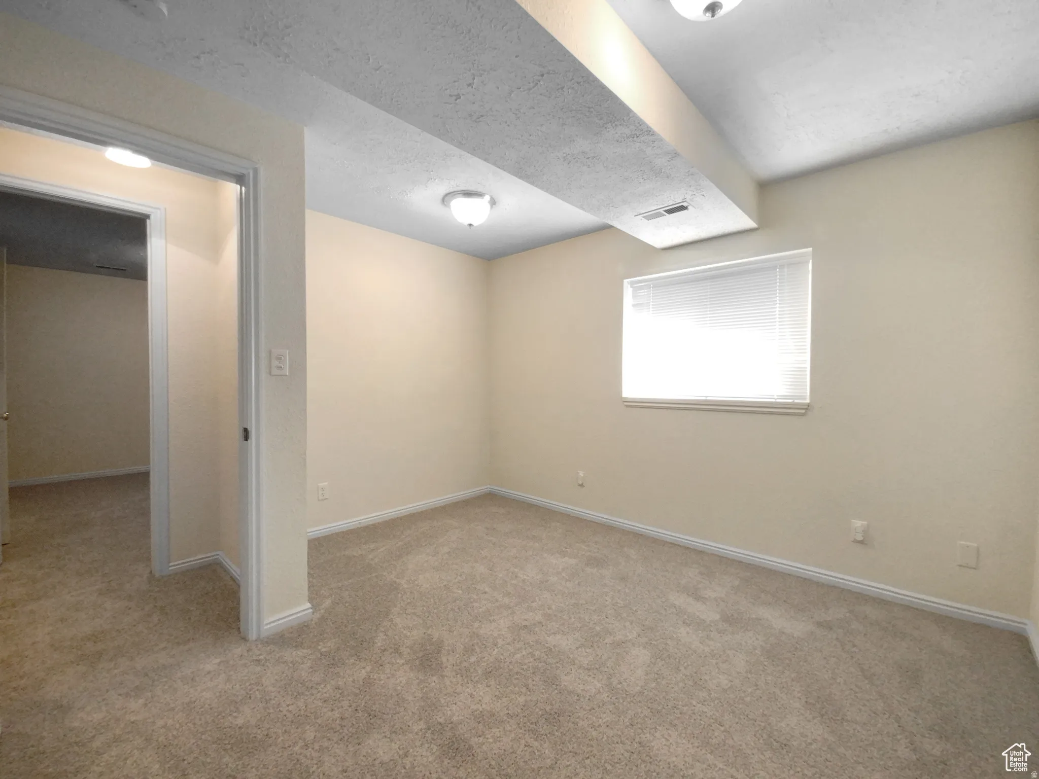 Previous picture Neutral-toned walls, plush carpet flooring, a single window with blinds, and flush-mount ceiling lights