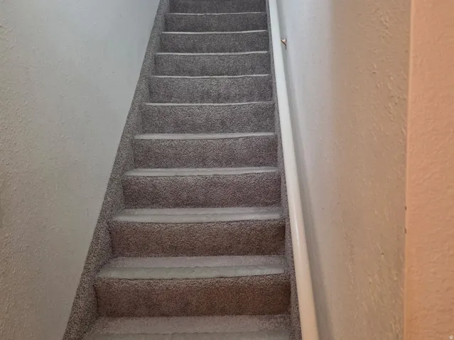 Carpeted staircase with a wall-mounted handrail leading to a white door
